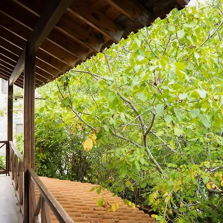 Villa Luxury Chalet