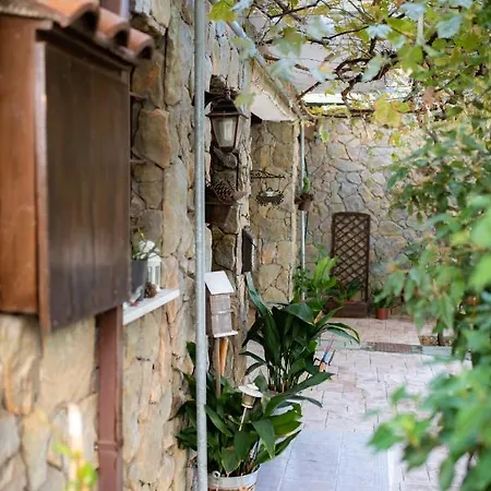 Luxury Chalet Platres